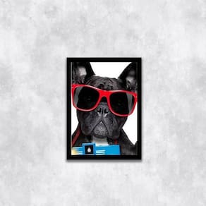 Quadro Bulldog Francês Férias 45X34 Com Vidro Moldura Preta