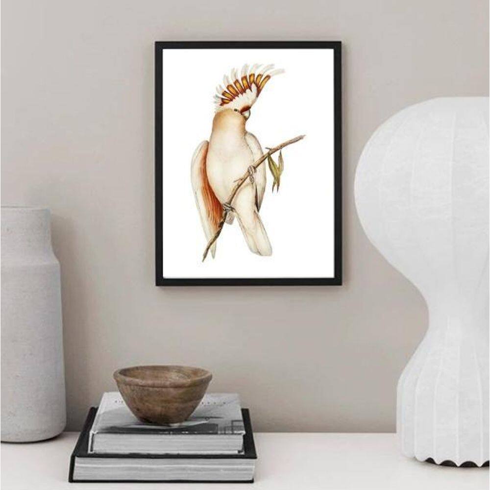 Quadro Decorativo Passarinho Cacatua 24X18Cm - Com Vidro