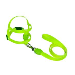 Coleira Peitoral Neon Para Cães Tradicional 15Mm Amarelo Nº5