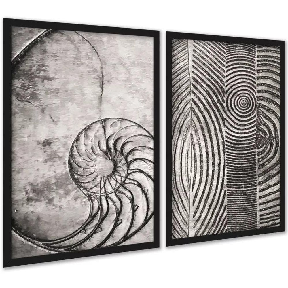 Kit 2 Quadros Decorativos Fibonacci Conchas Cinzas 33X24Cm