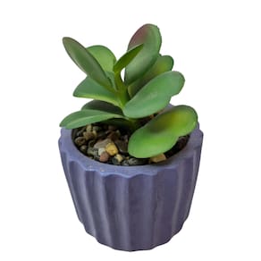 Vaso com Suculentas Artificiais Decorativo Roxo 10 cm