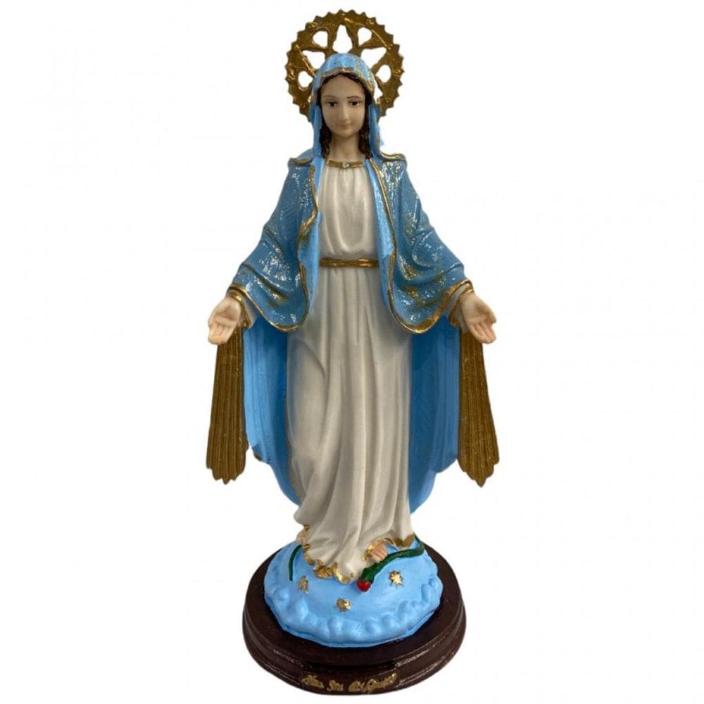 Escolha sua Imagem Nossa Senhora em Resina Tamanho Grande
