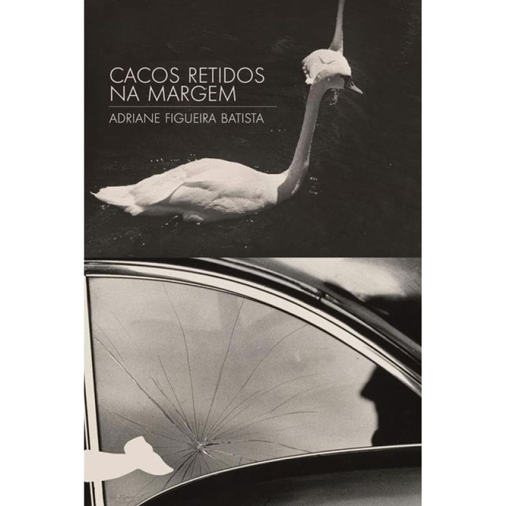 Cacos Retidos Na Margem