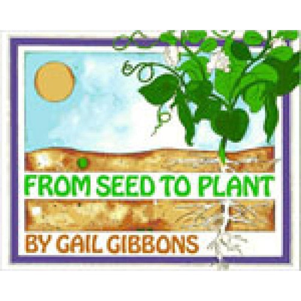 Froom Seed To Plant