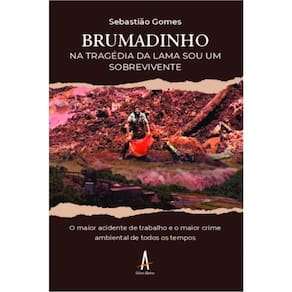 Brumadinho: Na Tragédia Da Lama, Sou Um Sobrevivente