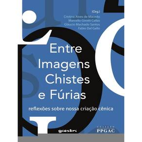 Entre Imagens, Chistes E Fúrias: Reflexões Sobre Nossa Criação Cênica - Vol. 1