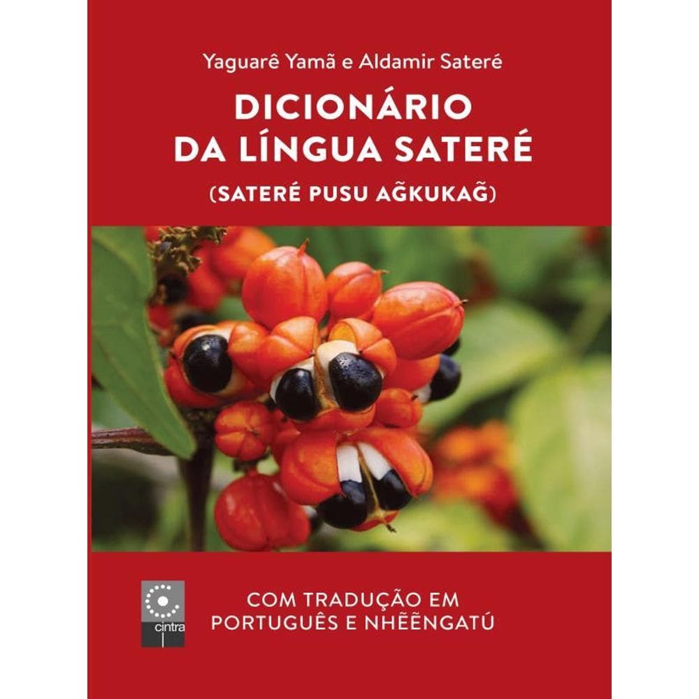 Computador Sentimental