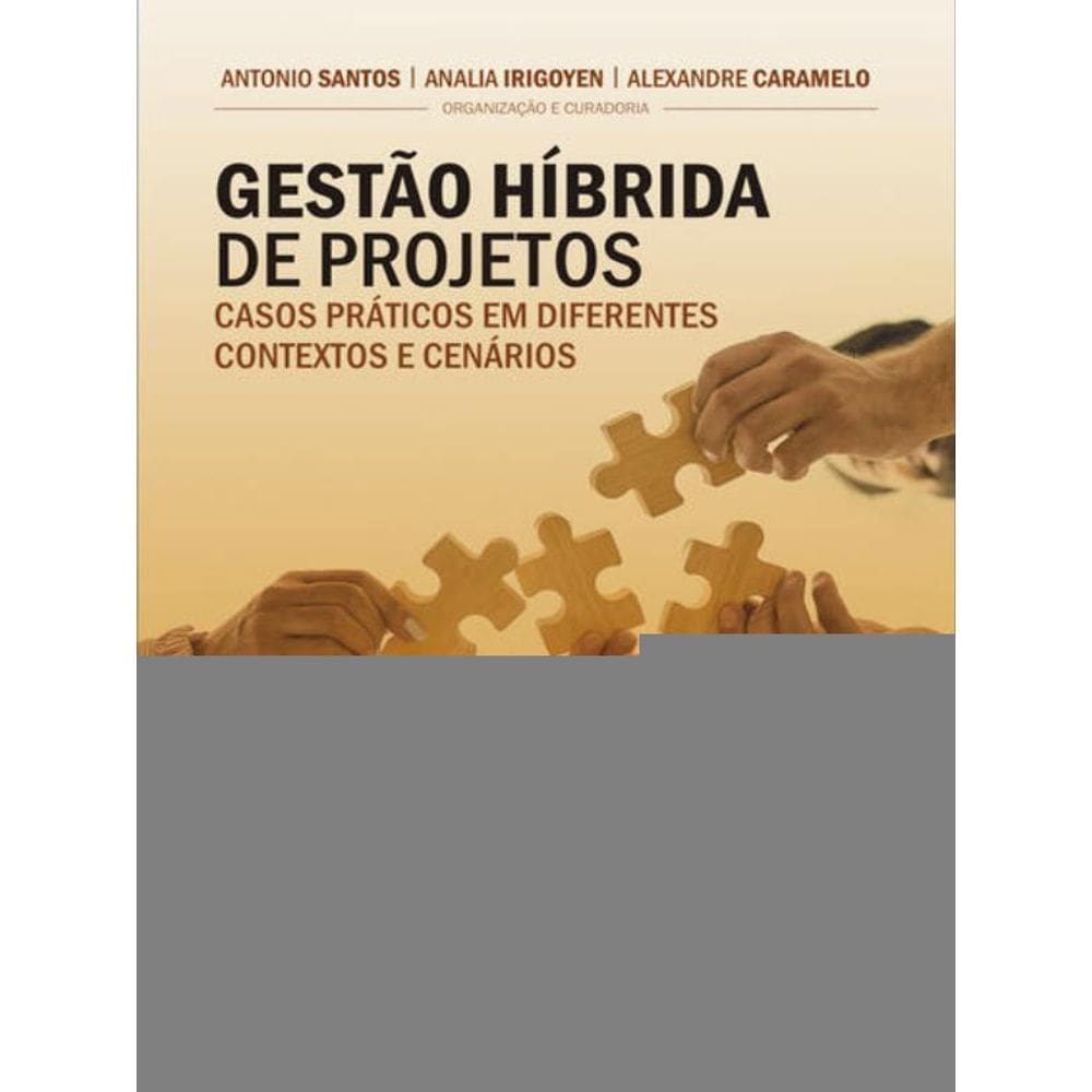 Gestão Híbrida De Projetos