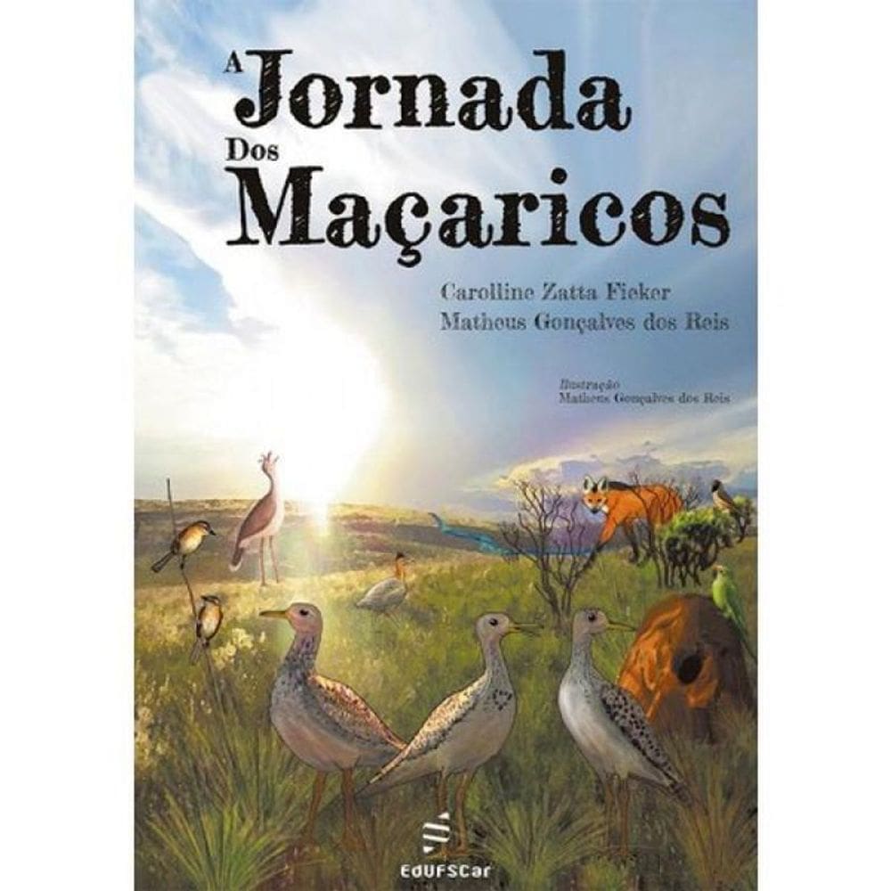 A Jornada Dos Maçaricos
