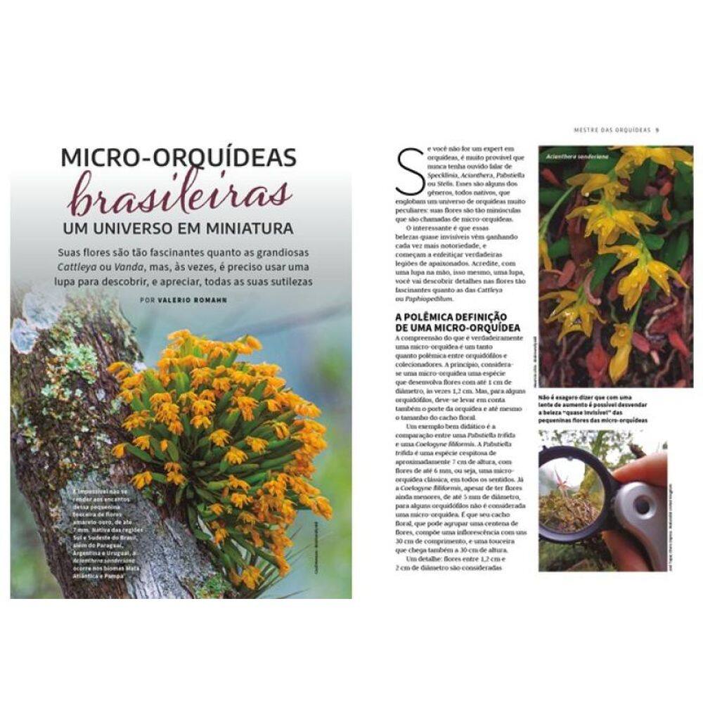 Mestre Das Orquídeas - Volume 17: Micro-Orquídeas | Casas Bahia