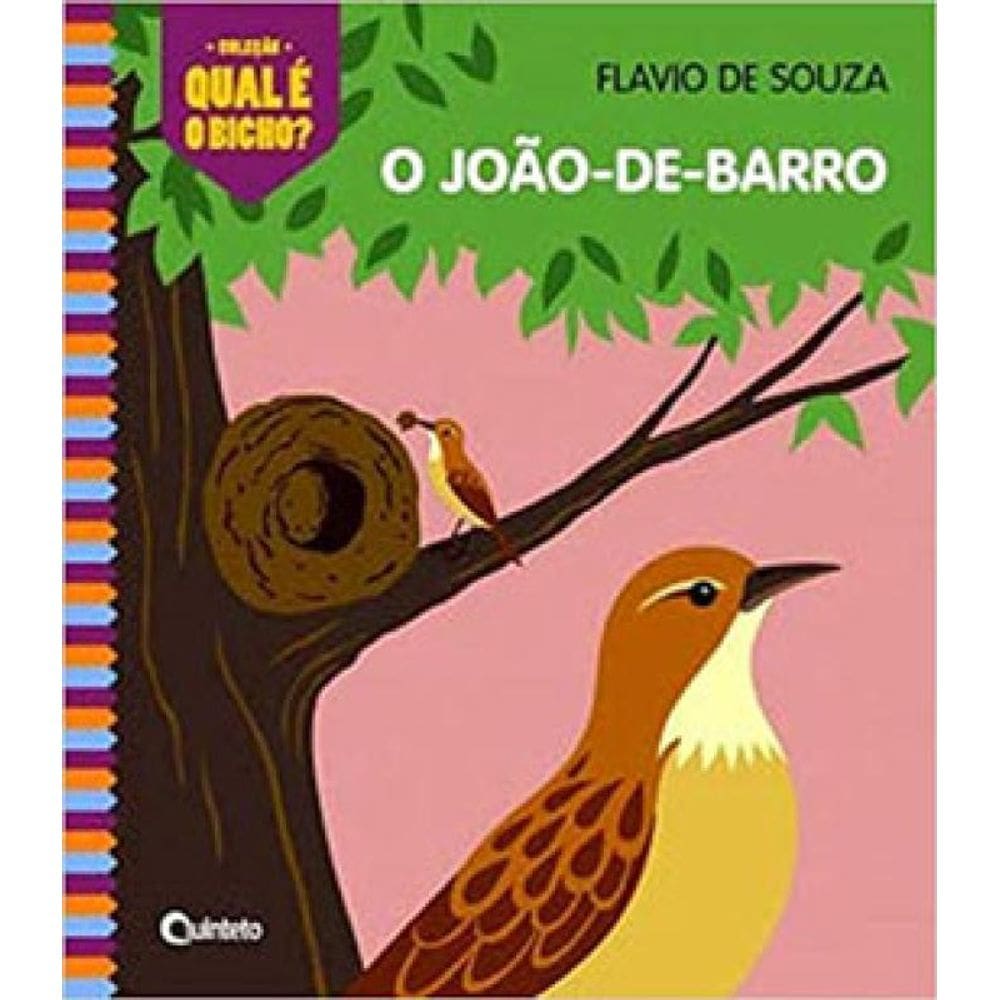 O João-De-Barro
