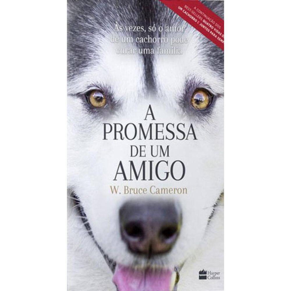 A Promessa De Um Amigo