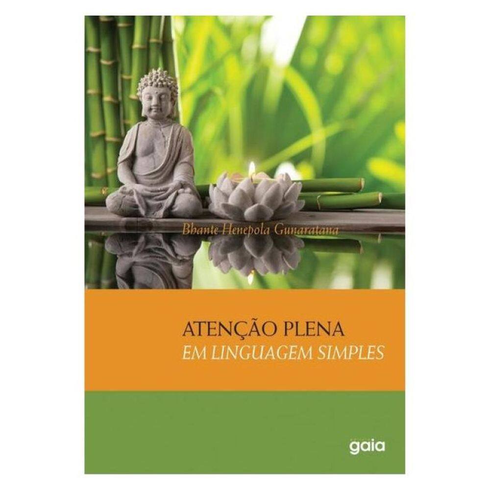 Atenção Plena Em Linguagem Simples
