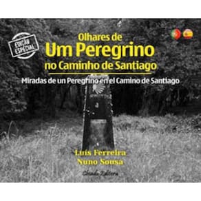 Olhares De Um Peregrino No Caminho De Santiago