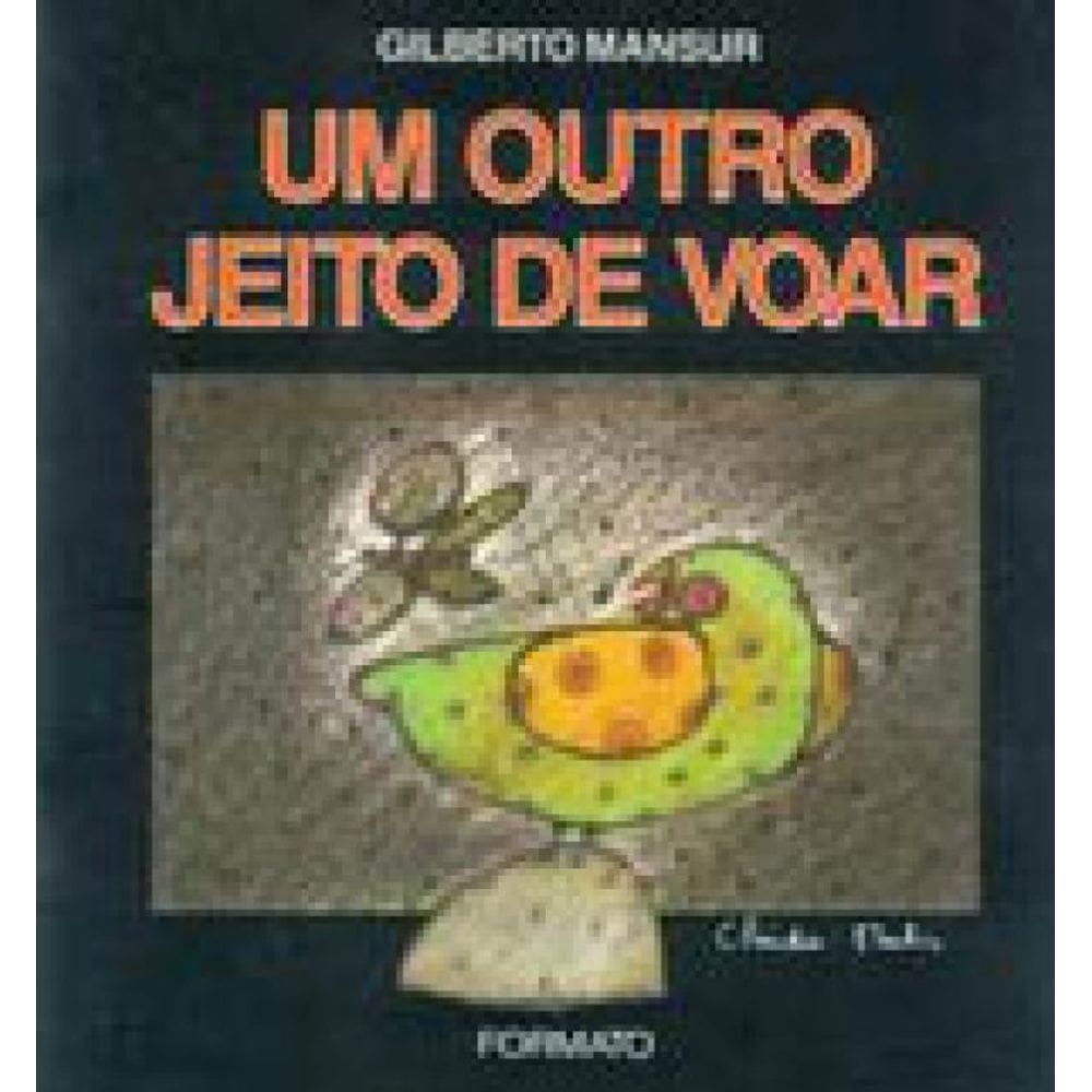 Um Outro Jeito De Voar