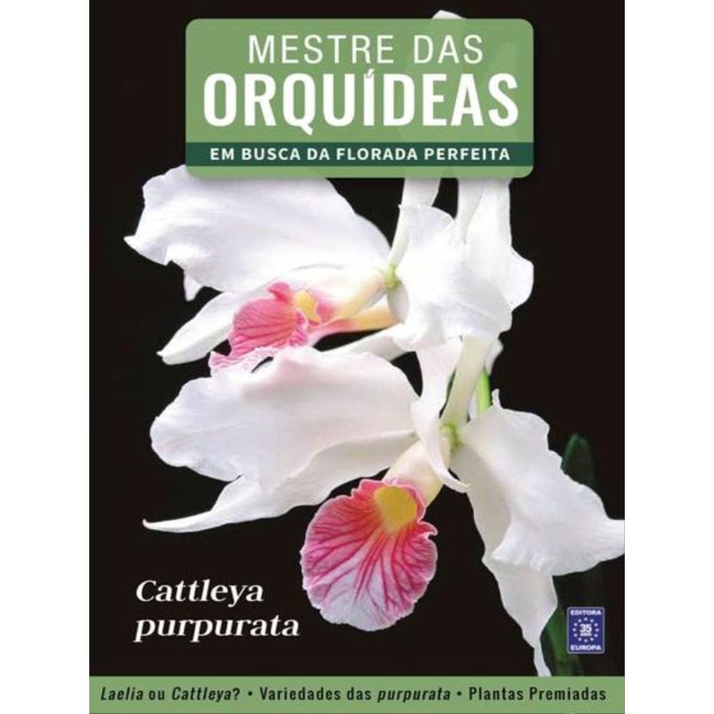 Mestre Das Orquídeas - Volume 6: Cattleya Purpurata