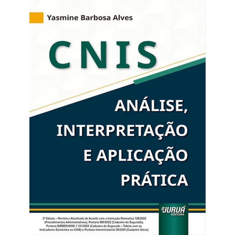 Cnis - Análise, Interpretação E Aplicação Prática - 2023