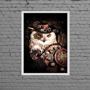 Quadro Decorativo Coruja Pirata 33X24Cm - Com Vidro