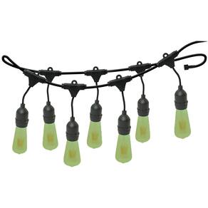 Varal de Luzes 20M Bivolt com 20 Lâmpadas Verde 127v Foxlux