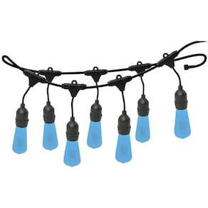 Varal de Luzes 20M Bivolt com 20 Lâmpadas Azul 127v Foxlux