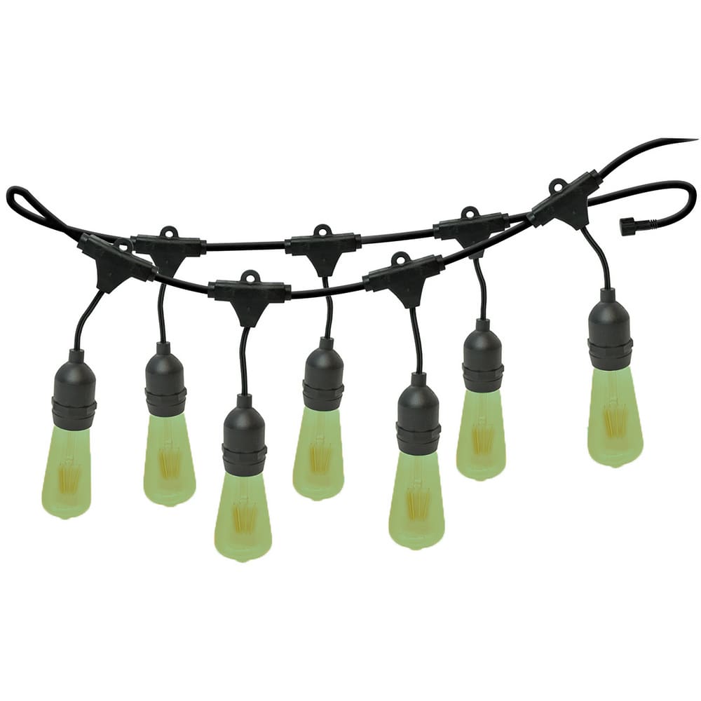 Varal de Luzes 10M Bivolt com 10 Lâmpadas Verde 127v Foxlux
