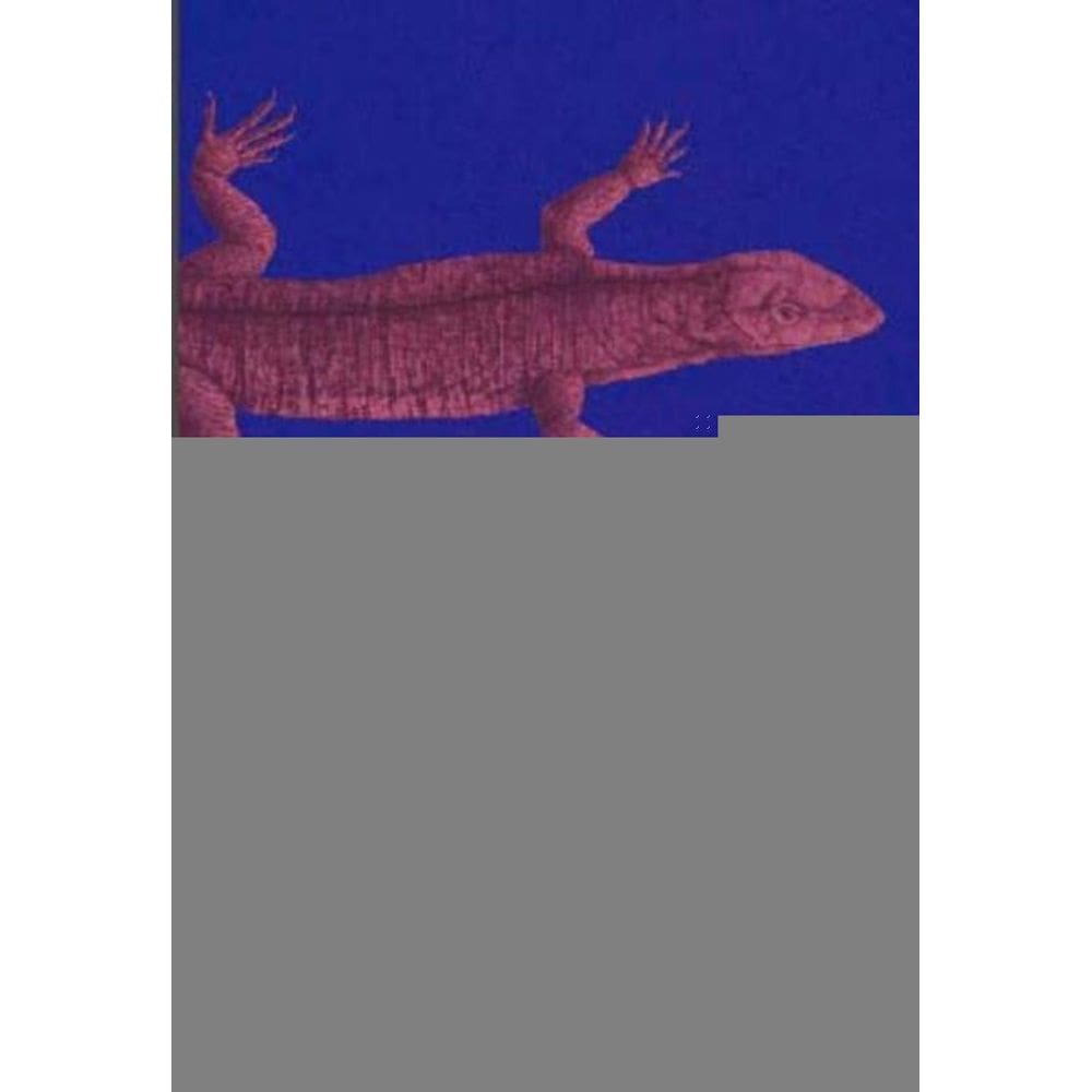 Aprender a Se Apaixonar Observando Repteis