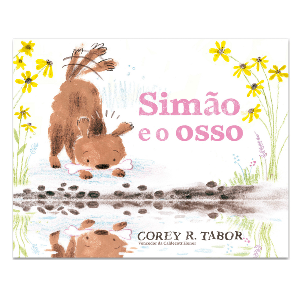 Simão e o osso