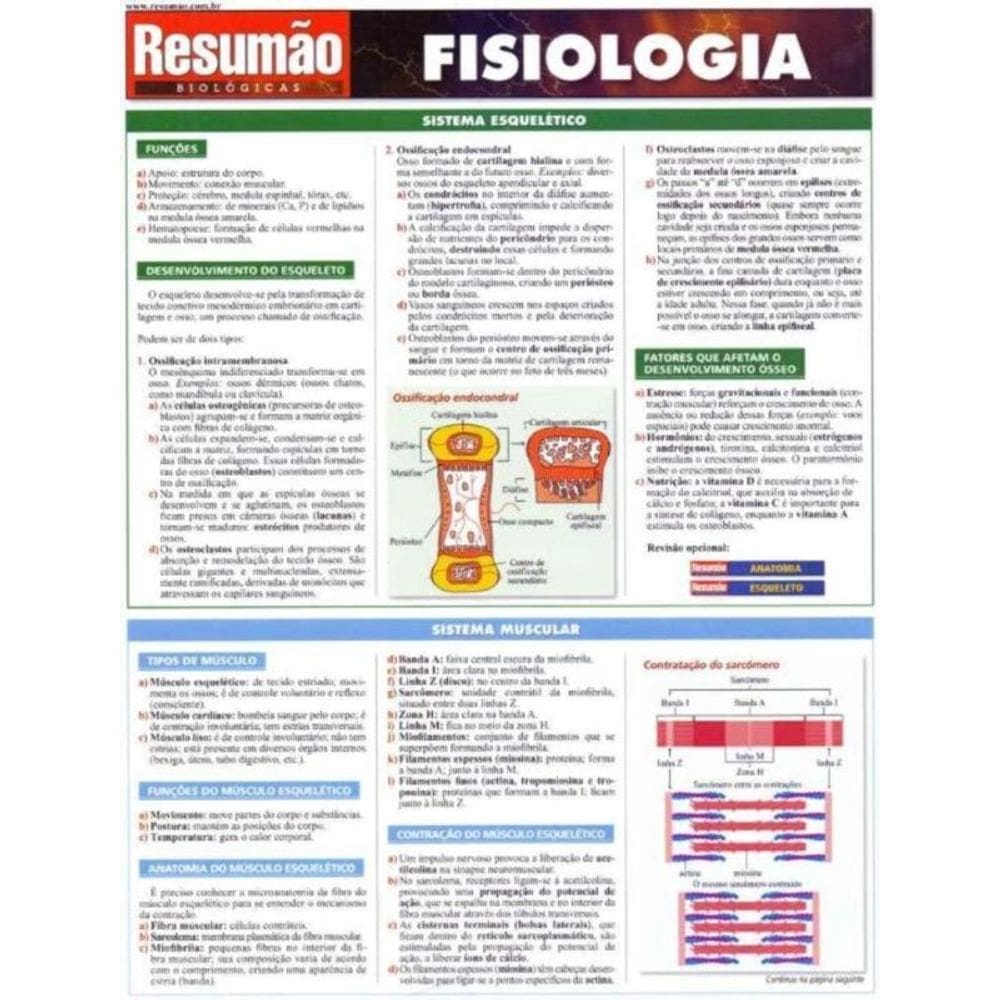 Resumão - Fisiologica