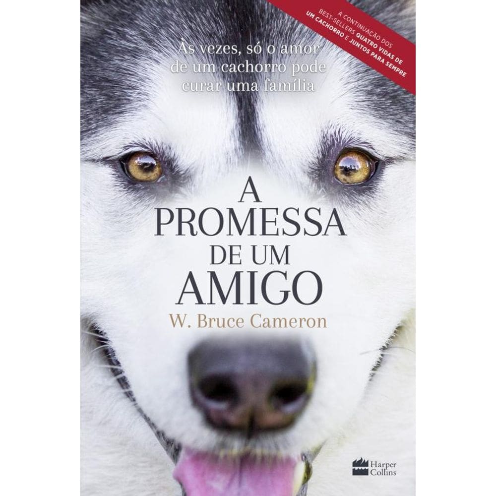A promessa de um amigo