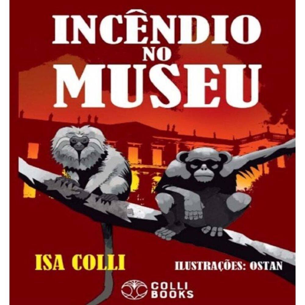 Incendio No Museu
