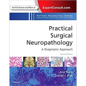 Practical Surgical Neuropathology: A Diagnostic Approach