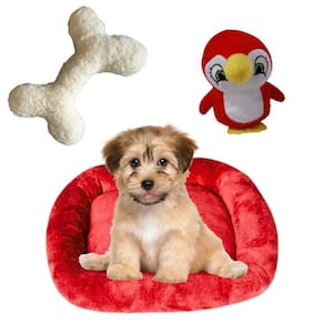 Kit Cama Pet Bigata M Luxo Confortavel Com Osso E Pelucia Vermelho