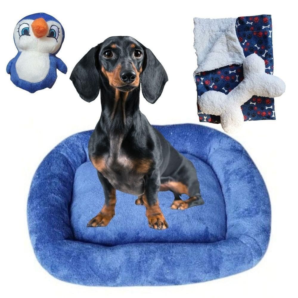 Kit Cama Pet Bigata G Luxo Com Osso Pelucia E Mantinha Azul Marinho