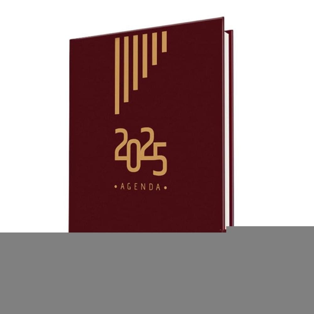 Agenda Bordô Institucional Da Mansão Do Caminho 2025 - Capa Dura