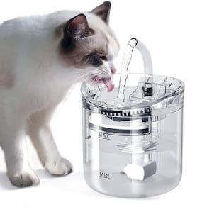 Fonte Agua Bebedouro Gato Cachorro Pet 2 Litros Usb Silencioso Reservatorio Grande Transparente