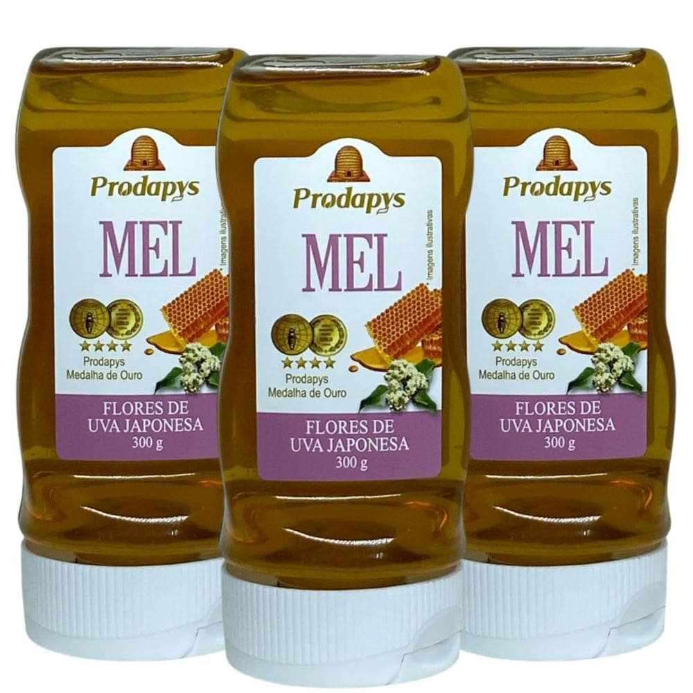 Bisnaga 300g de Mel Flores de Uva Japonesa Kit com 3