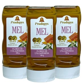 Bisnaga 300g de Mel Flores de Uva Japonesa Kit com 3