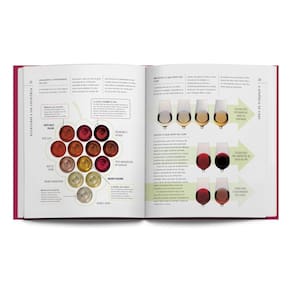Sabores do Vinho - Da Uva à Taça