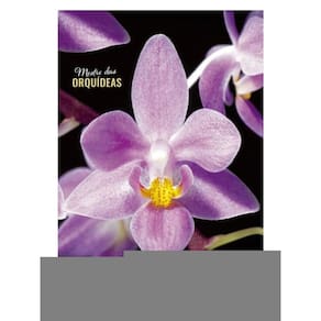 Orquídeas Phalaenopsis - Mestre Das Orquídeas - Volume 23