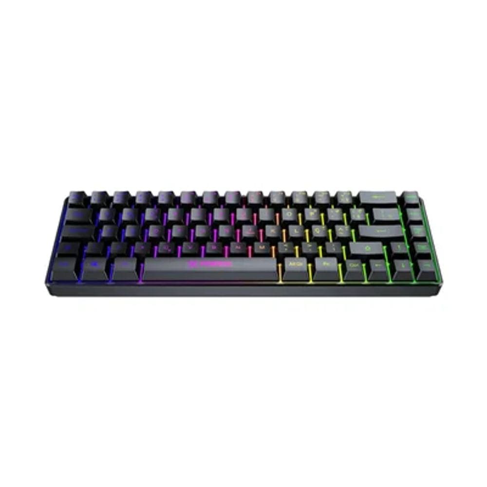 Teclado Gamer Fearless 65%