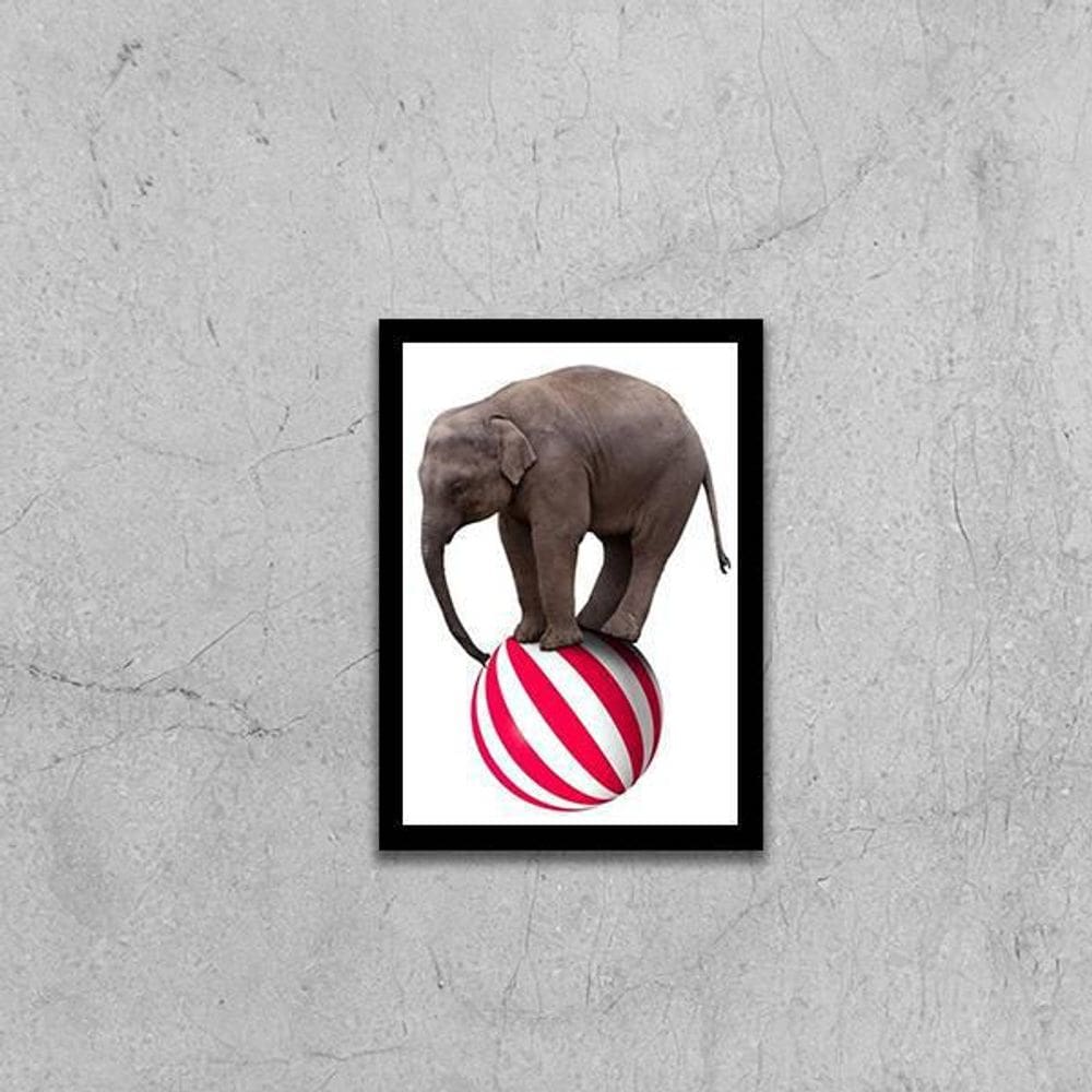 Quadro Decorativo Elefante Em Cima Da Bola 24X18Cm