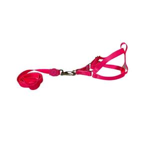 Coleira Peitoral Neon Para Cães Americano 15Mm - Rosa Nº3