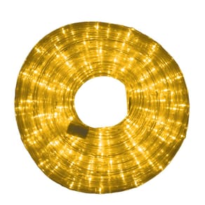 Mangueira Iluminada 162 leds Pisca 110v 10m Tomada Decoração Natal Cor:Branco Quente