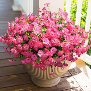 Pacotes de flores artificiais HyeFlora para atividades ao ar livre na primavera de 12