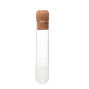 Infusor para Chá Tube 3x3x15cm de Vidro Tampa de Rolha LYOR
