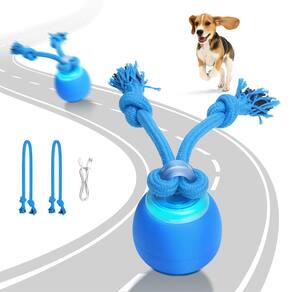 Bola elétrica Oxawo de brinquedo interativo para cães com som de chilrear