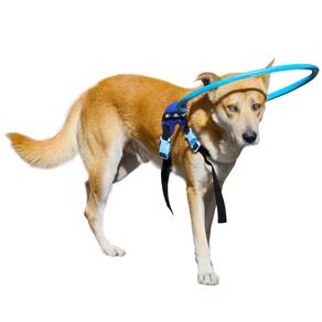 Coleira protetora Blind Dog Halo Harness LetpetRun para cães