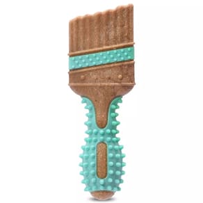Brinquedo de Mastigar Arm & Hammer Coleção de Ferramentas Pincel para Cães