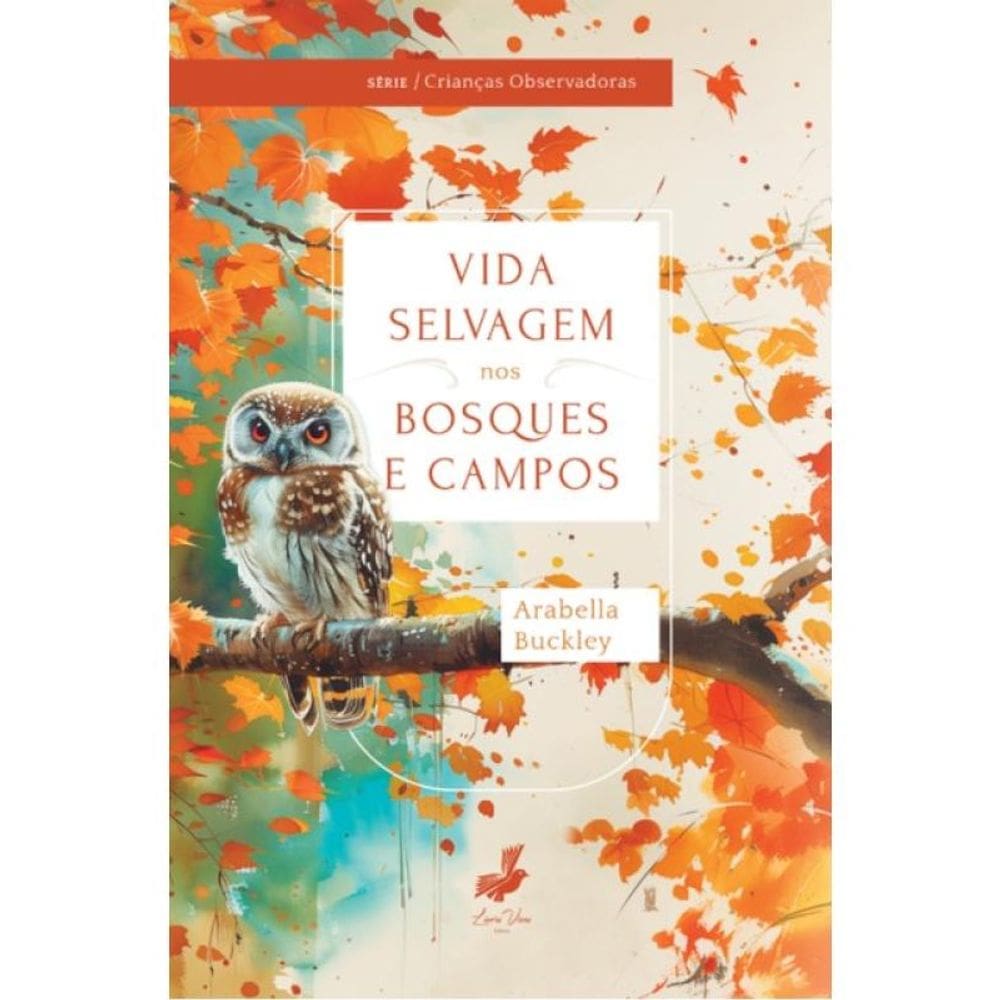Vida Selvagem Nos Bosques E Campos