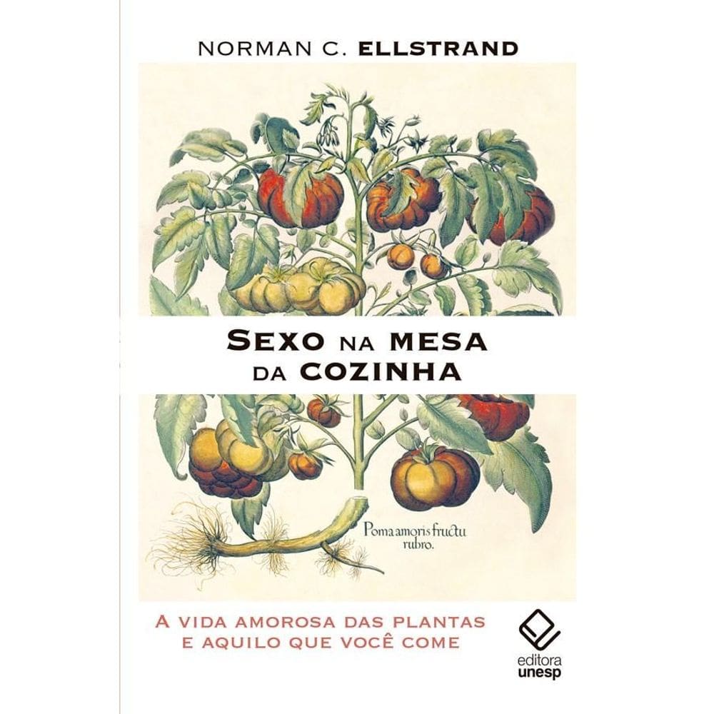 Sexo na mesa da cozinha